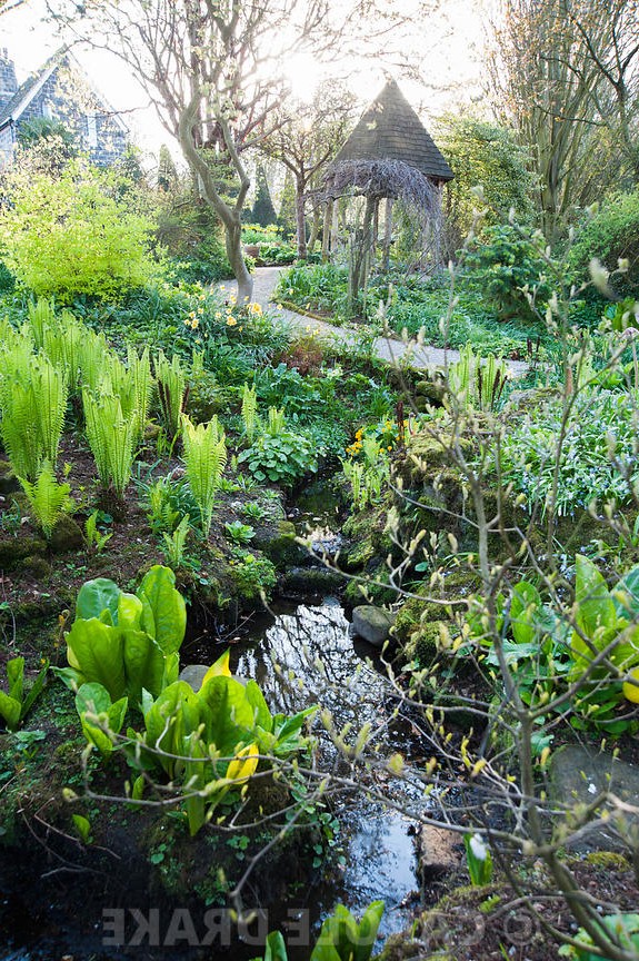 Йоркские ворота - дизайн сада - фото 2