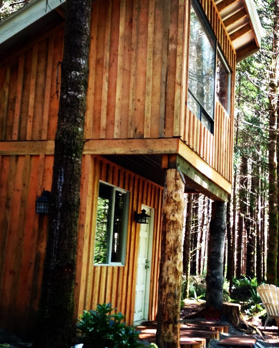 Хижина в лесу - фото 4