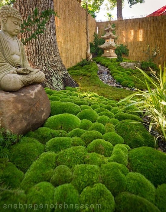 Сад из мха - фото 2