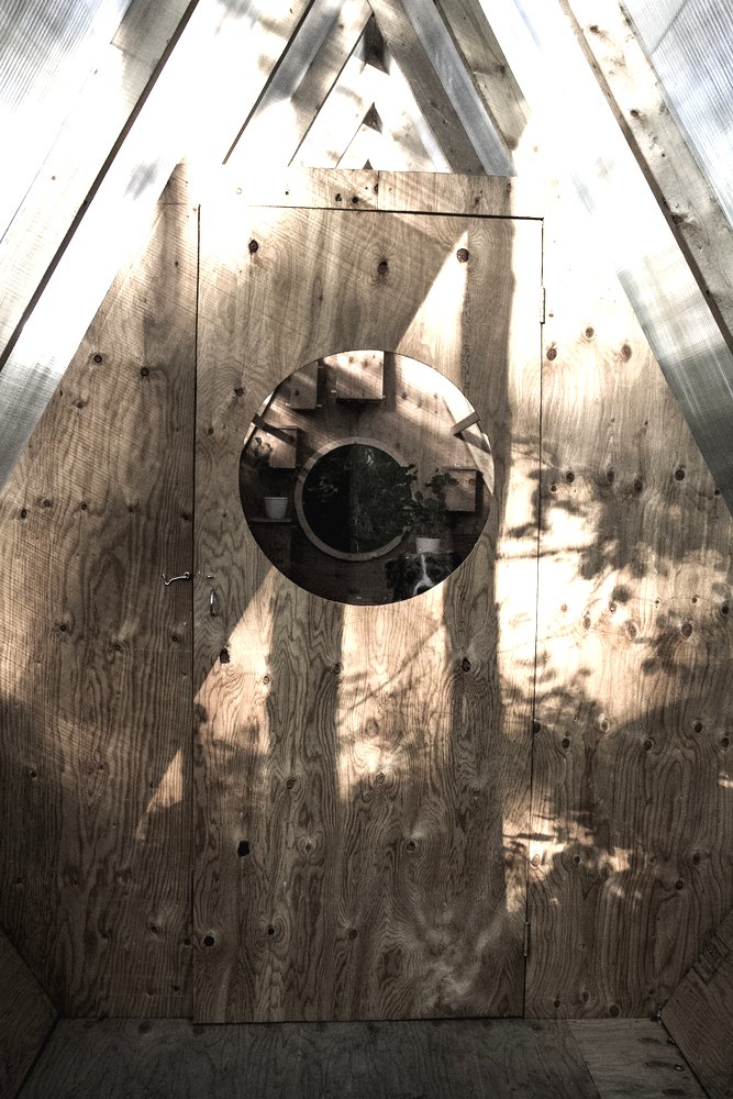 Необычный лесной домик - фото 3