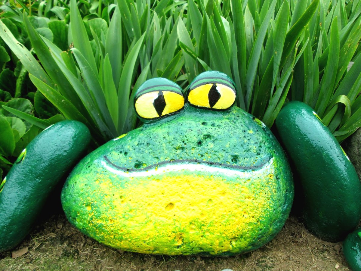 Садовая лягушка - фото 3