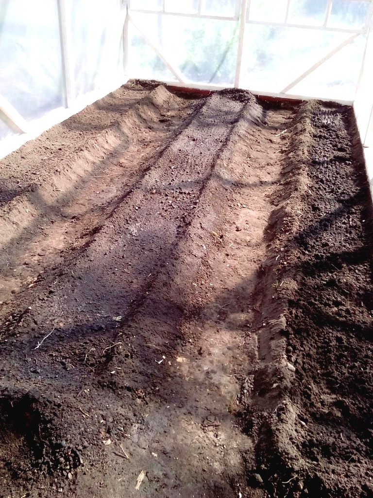 Теплица 2,6х6 метров из дерева - фото 13