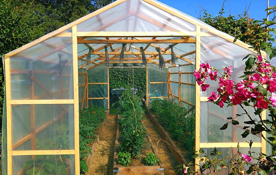 Теплица из лиственницы - фото 3