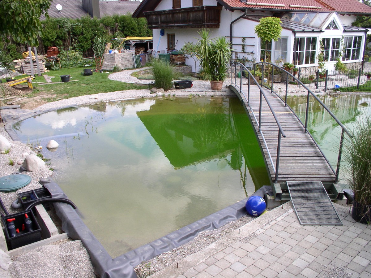 Пруд с мостом через него - фото 15