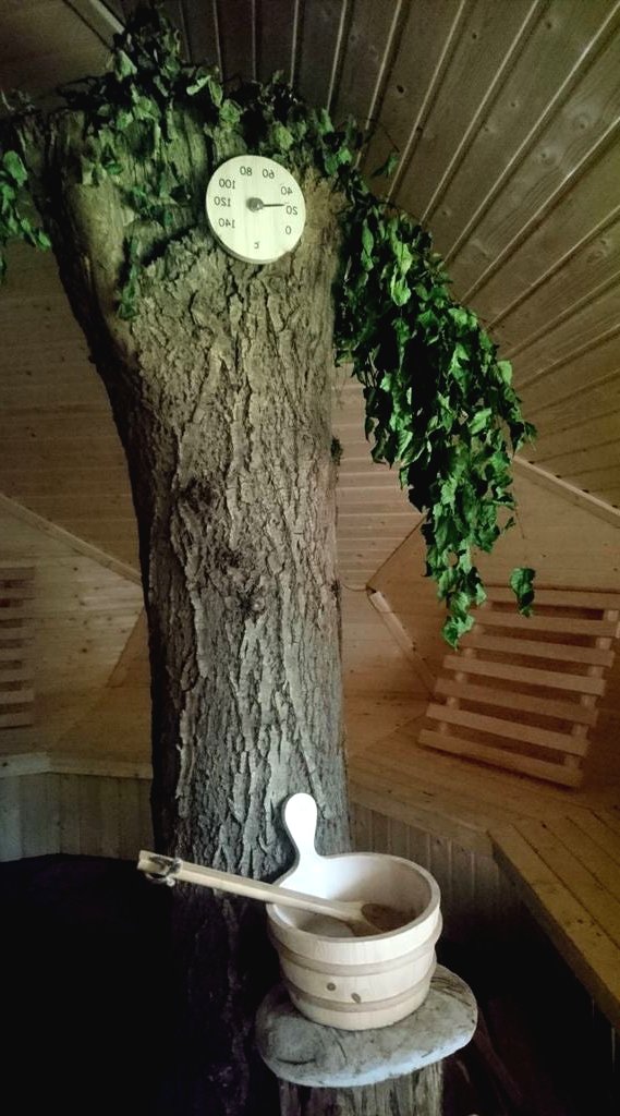 Сауна в форме геодезического купола - фото 51