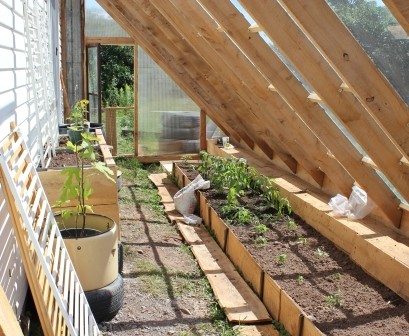 Парник - фото 12