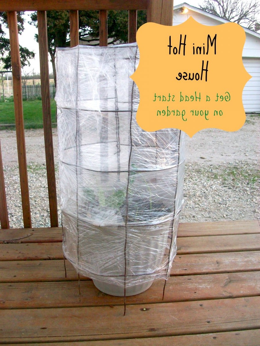 Мини теплица - фото 2