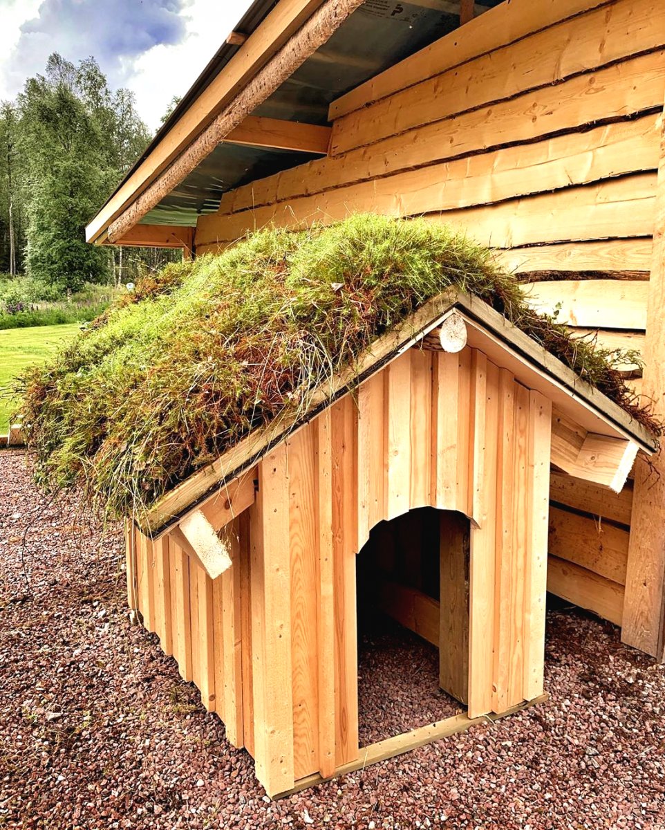 Необычные будки для собаки - фото 3