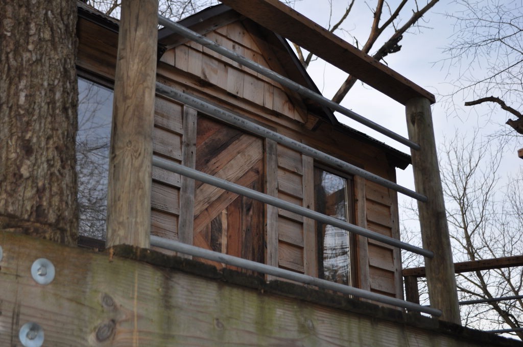 Дом на дереве - фото 3