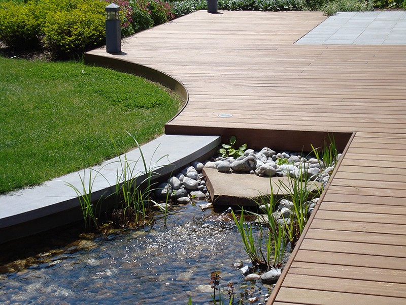 Естественный пруд - фото 17