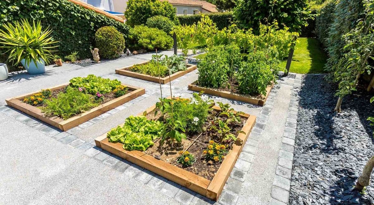 Красивые грядки - фото 2