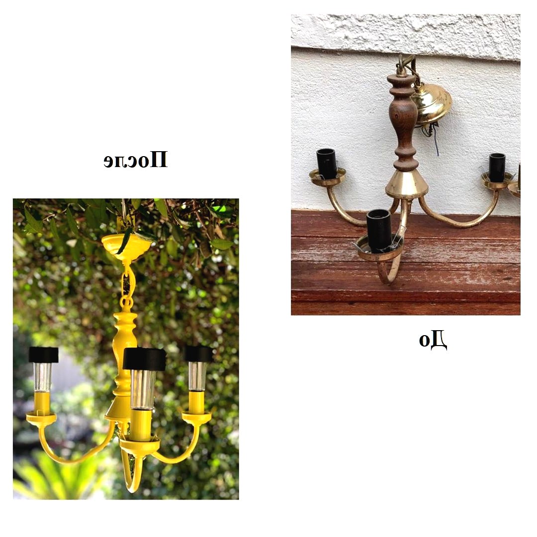 Беседка из вьющихся растений - фото 3