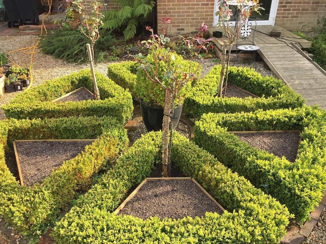 Интересный вариант расположения грядок - фото 2