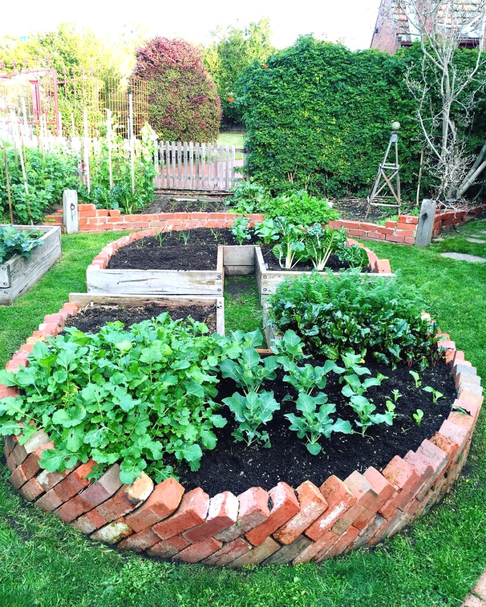 Грядка из кирпичей своими руками - фото 7