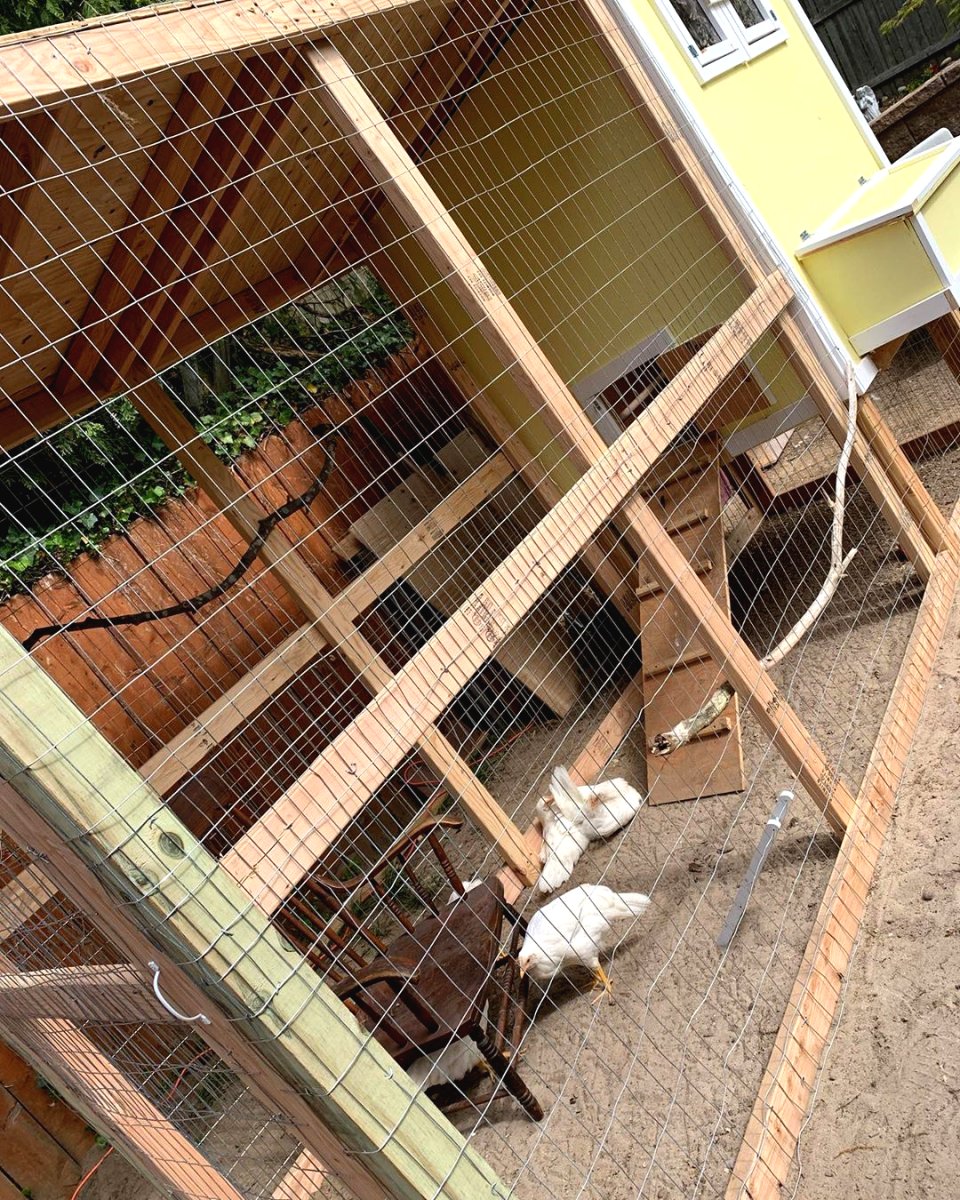 Летний курятник своими руками на даче - фото 7