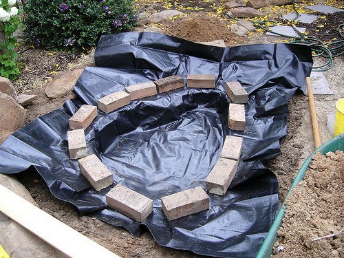 Садовый пруд - фото 3