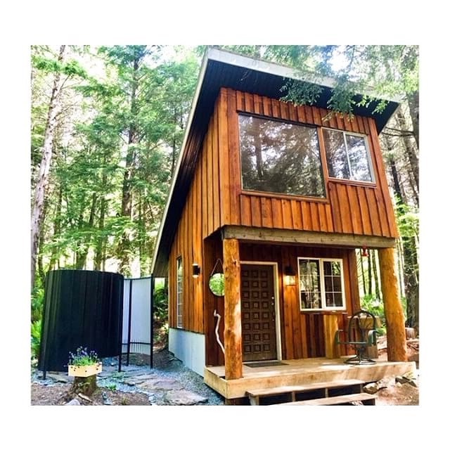 Хижина в лесу - фото 5