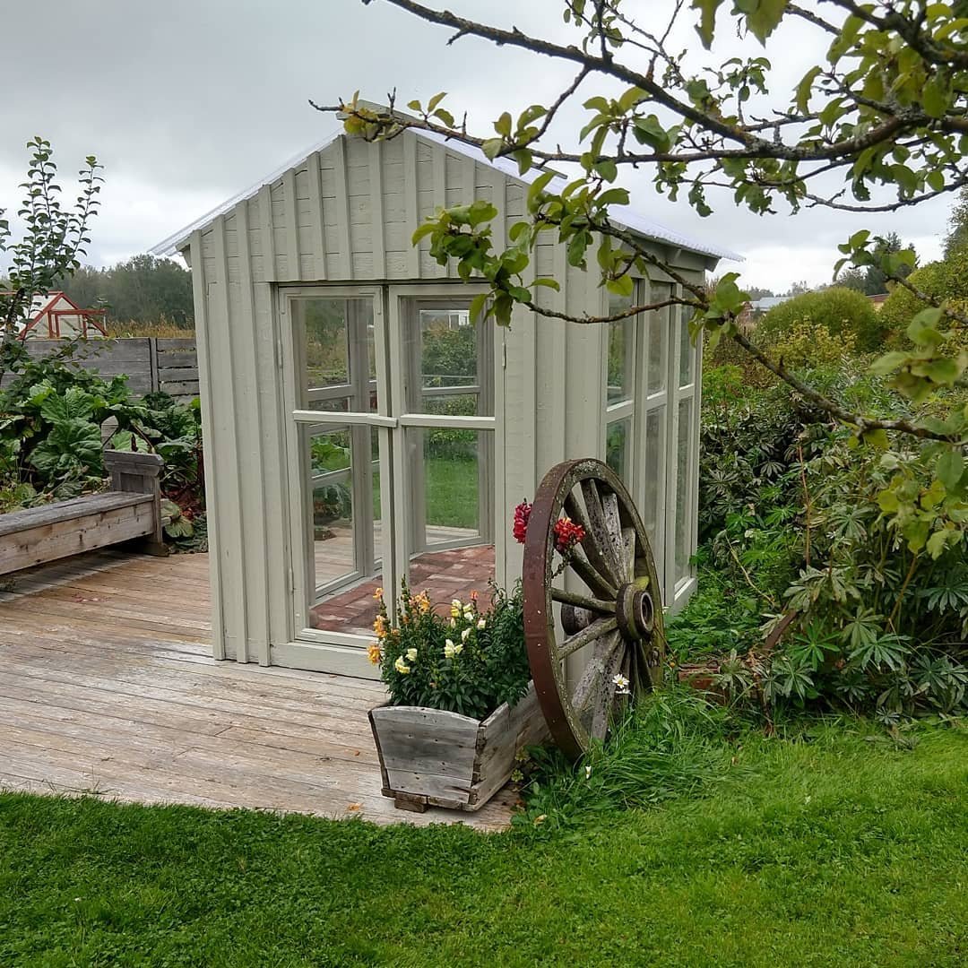 Небольшая оранжерея из старых окон - фото 10