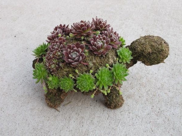 Как сделать черепаху - фото 2