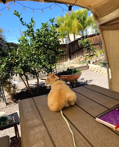 Беседка для дачи своими руками - фото 6