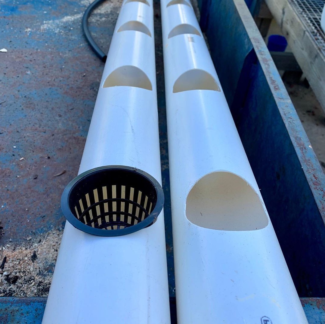 Гидропоника - фото 7