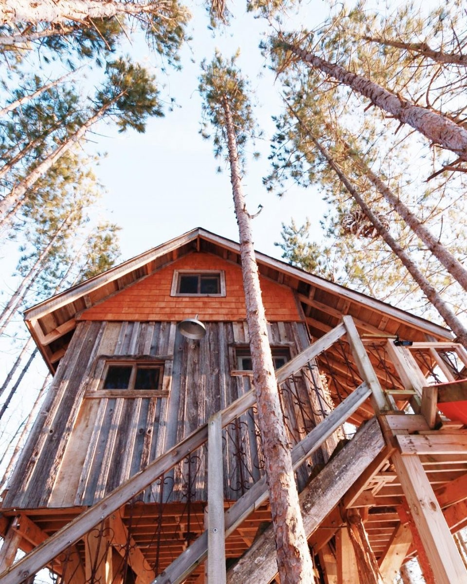 Дом на дереве - фото 10