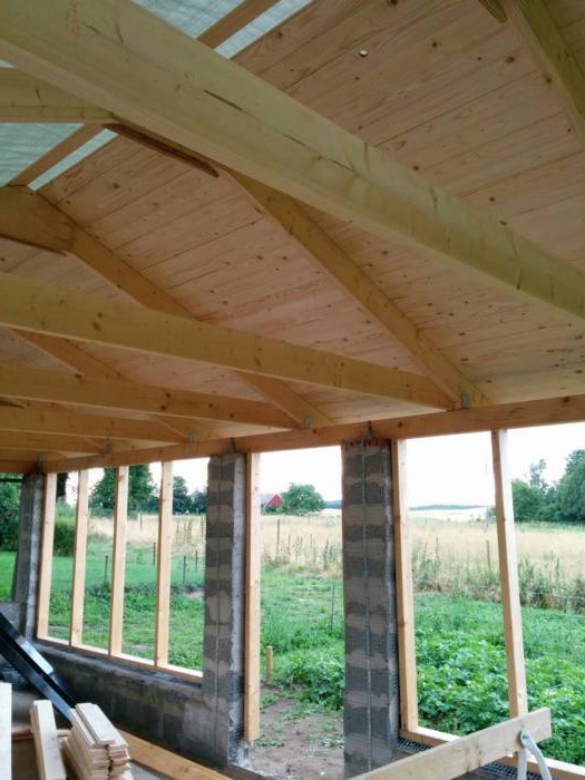 Оранжерея - фото 5