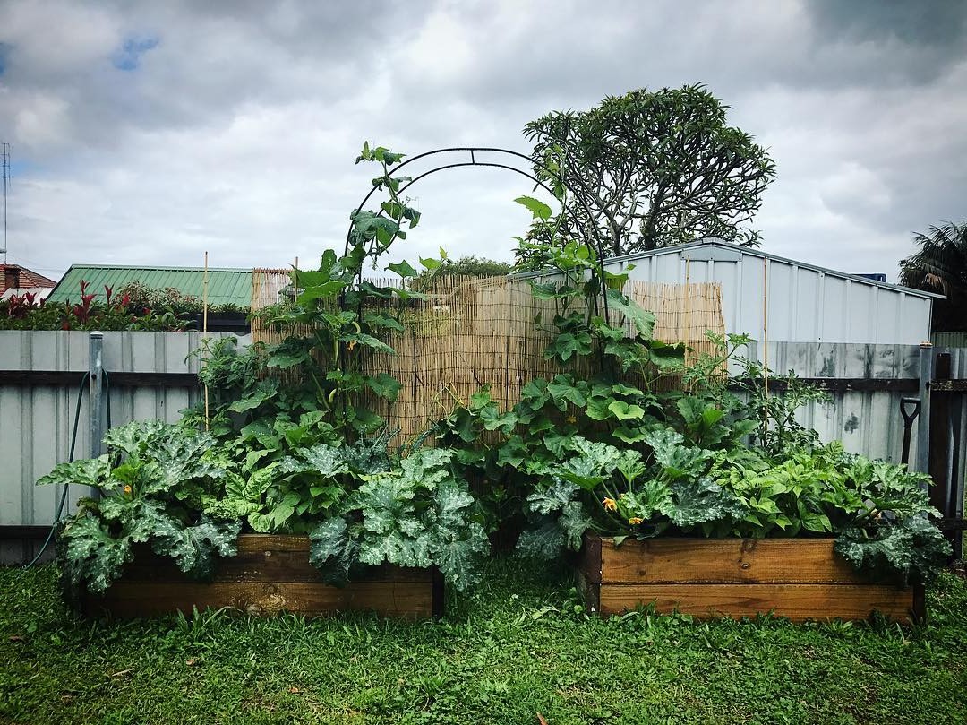 Арка для рассады - фото 2