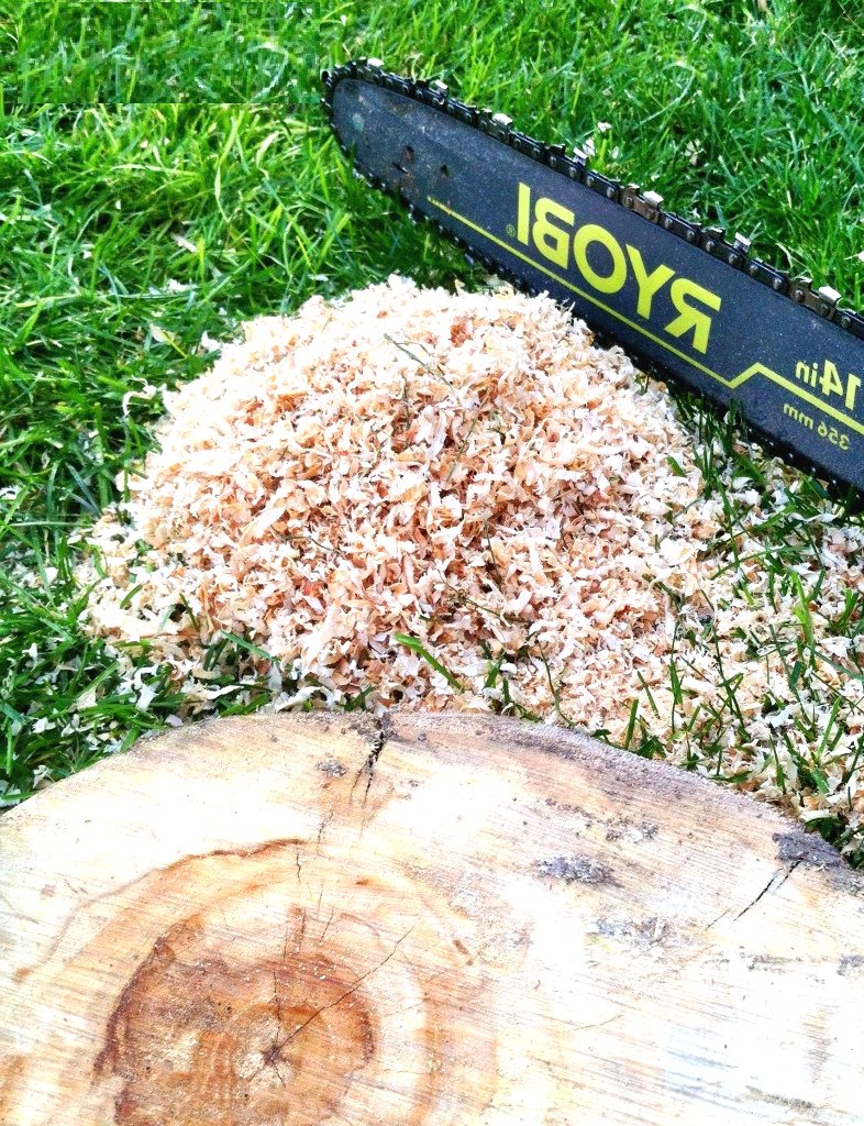 Цветочный горшок из пня - фото 4