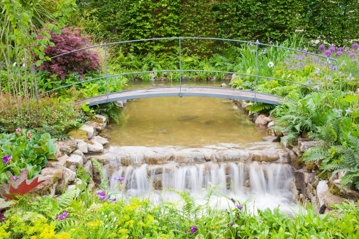 Вдохновение с горы Ашер - фото 3