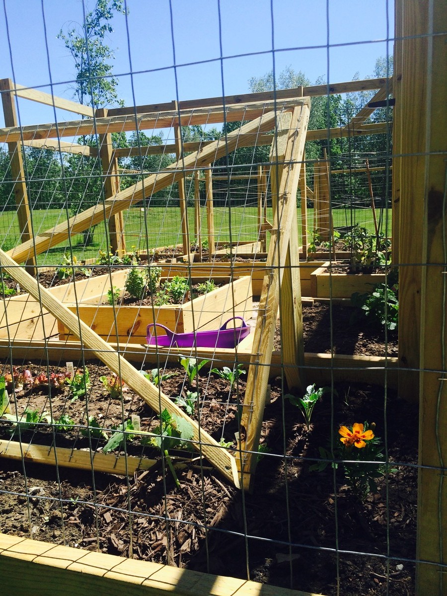 Садовое ограждение - фото 9