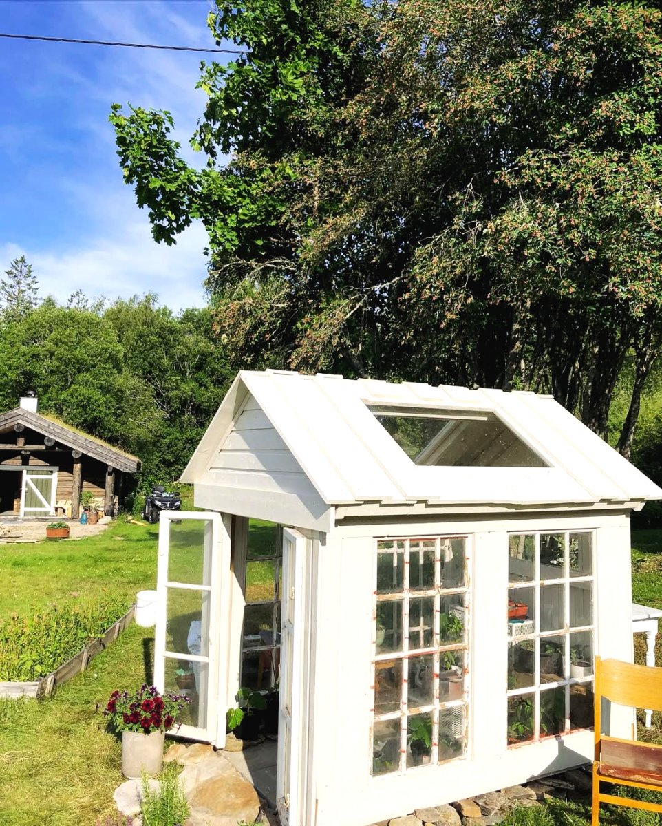 Теплица своими руками: создай идеальный уголок для растений! - фото 2