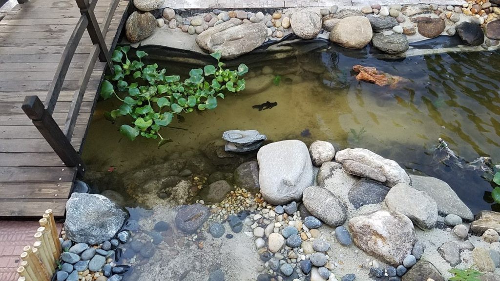 Необычный пруд с водопадами - фото 2