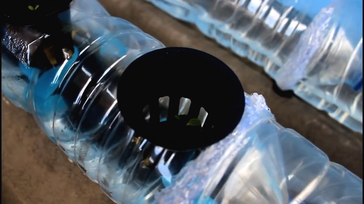 Гидропоника из пластиковых бутылок - фото 14