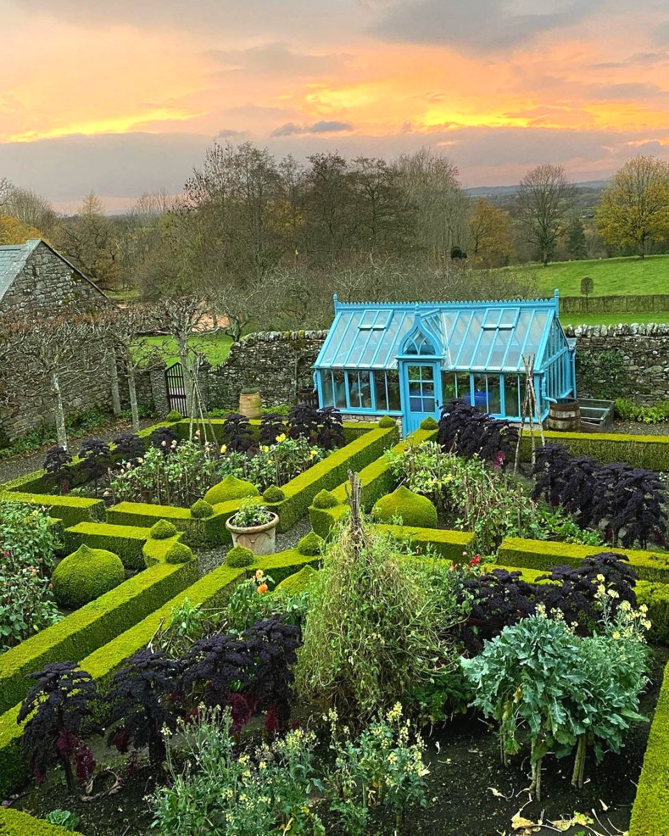 Топиарий в саду своими руками - фото 7