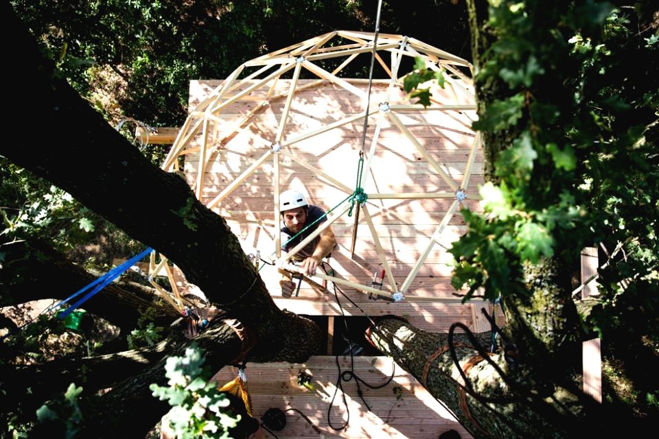 Оригинальный домик на дереве - фото 20