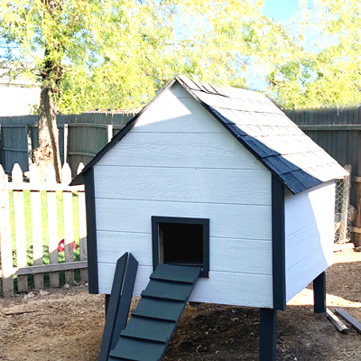 Небольшой курятник - фото 6