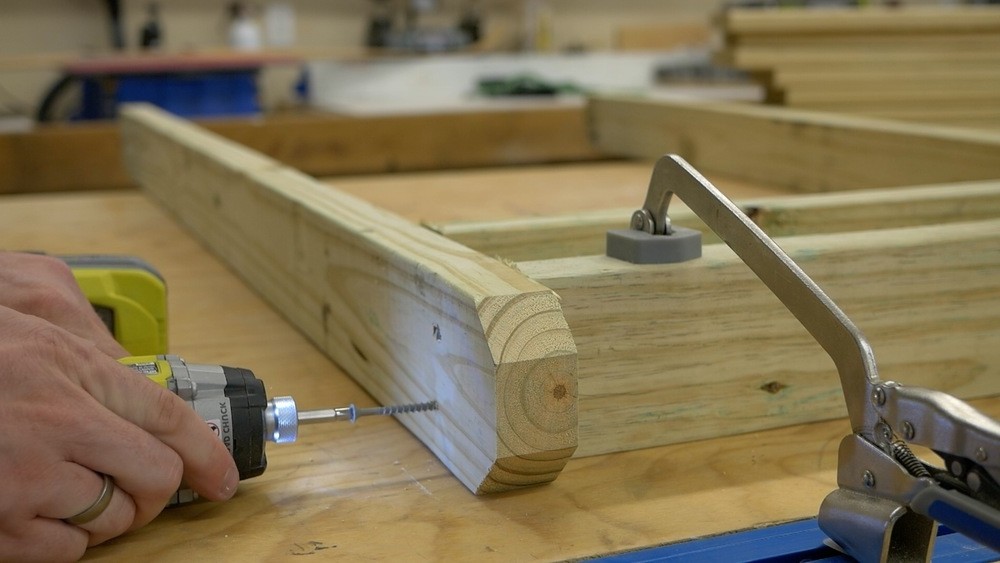 Большая рогатка на заднем дворе - фото 4