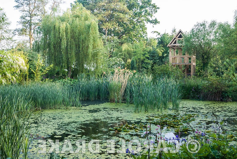 Сад в котором иглу из пустых бутылок вина - фото 18