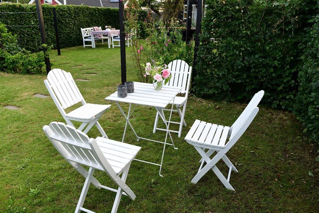 Розы в овощном саду - фото 5