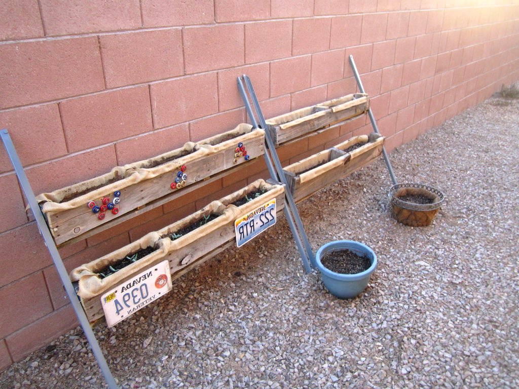 Вертикальный сад из поддона - фото 3