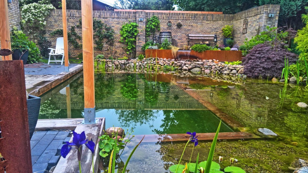 Бассейн + пруд - фото 18