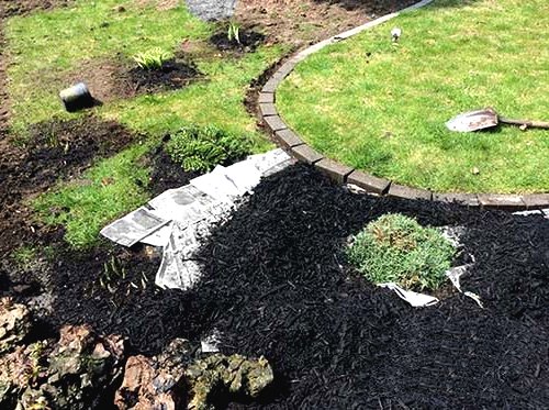 Улучшаем участок перед домом  - фото 7