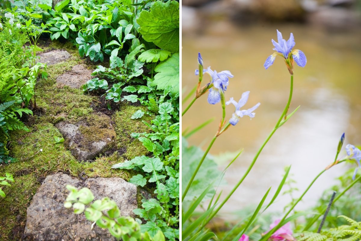 Вдохновение с горы Ашер - фото 7