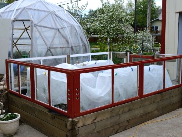 Высокая грядка из старых окон - фото 8