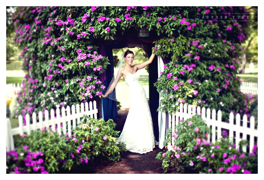 Необычная бесетка - фото 2