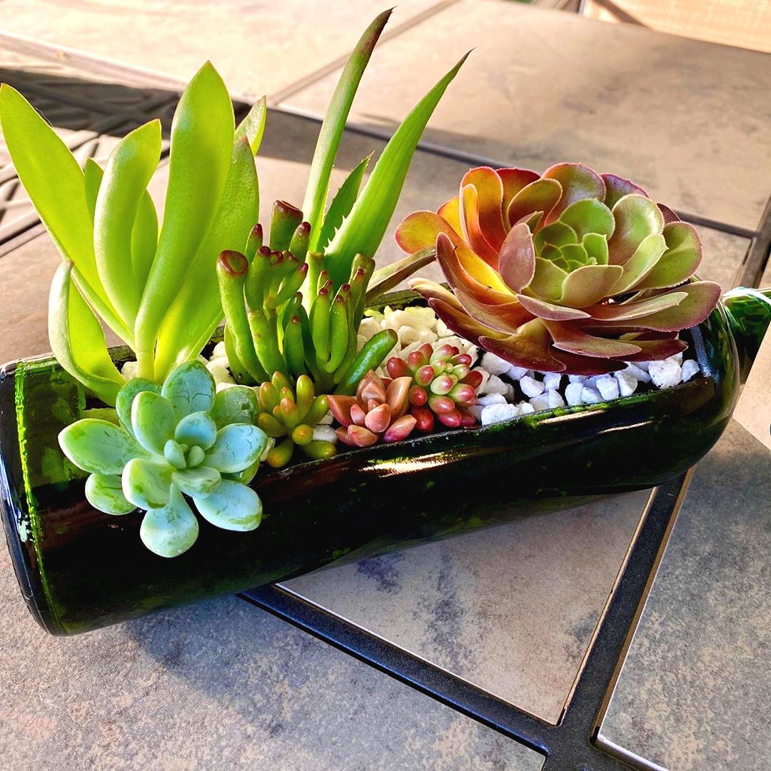 Необычное использование винных бутылок - фото 3