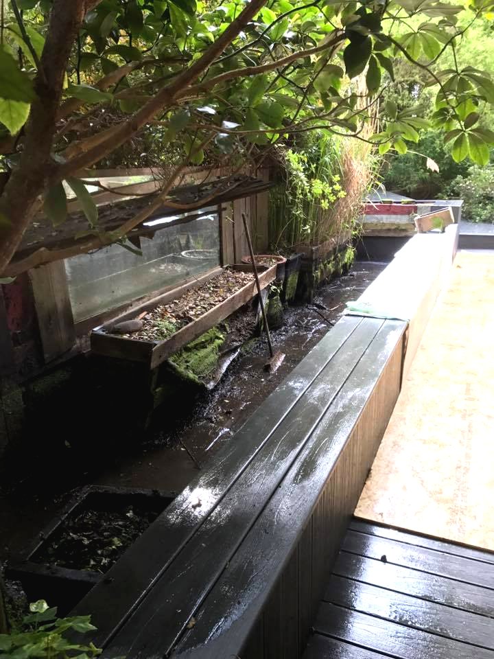 Как облагородить старый пруд - фото 5