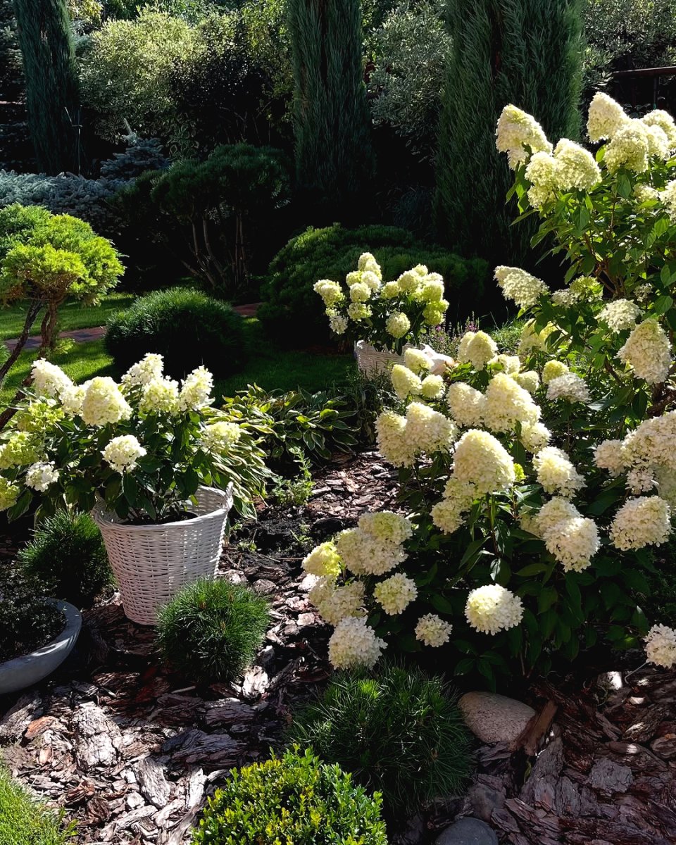 Ландшафтный дизайн небольшого сада - фото 6