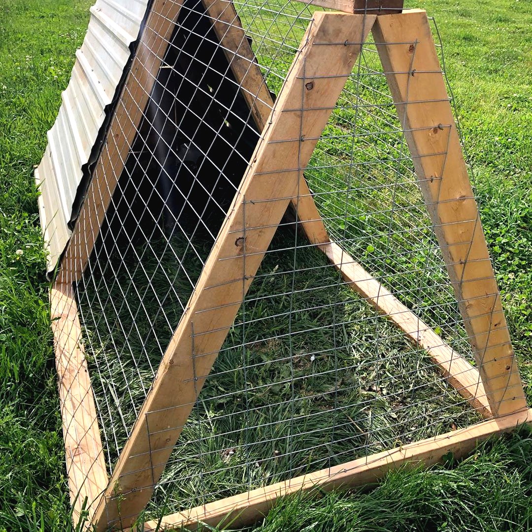 Маленький летний курятник - фото 2